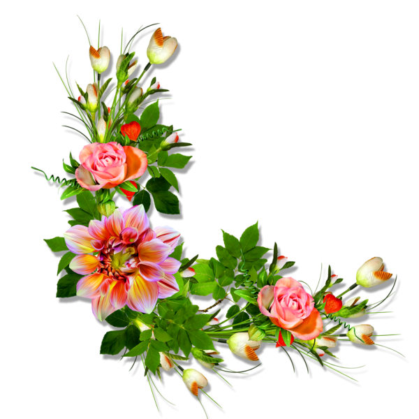 Цветы обрамление