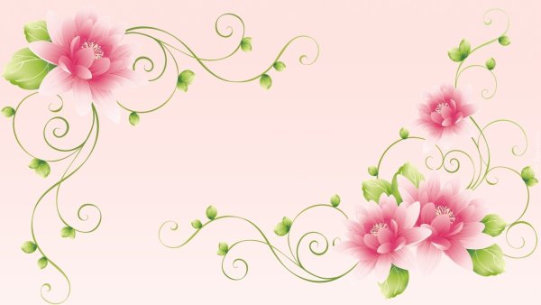 Красивый уголок из цветов