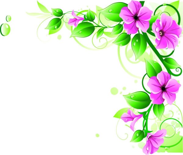 Цветы угловые