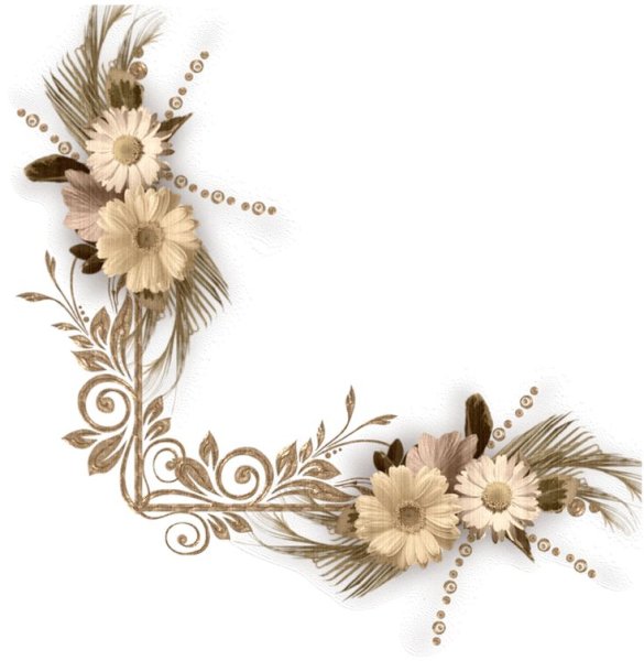 Цветы обрамление
