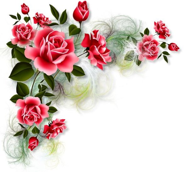 Цветы угловые