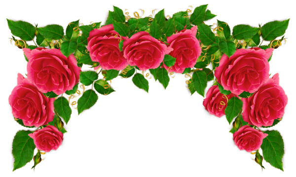 Уголок из роз