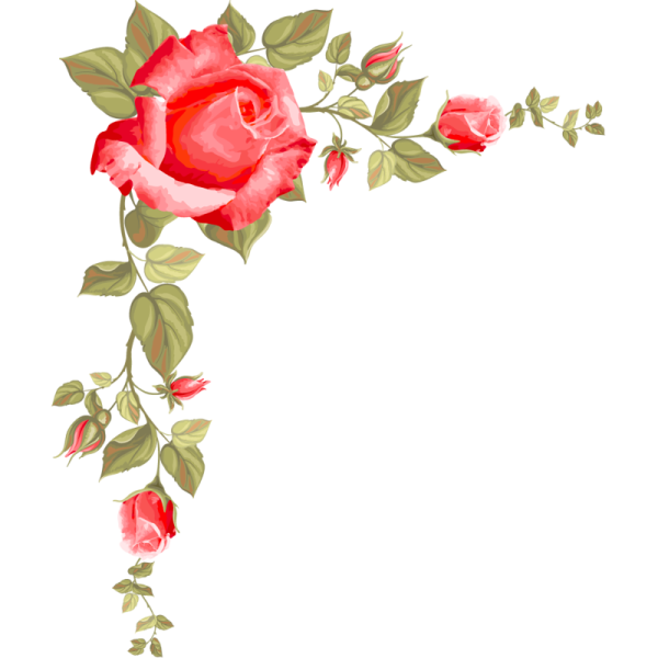 Цветочные уголки розы