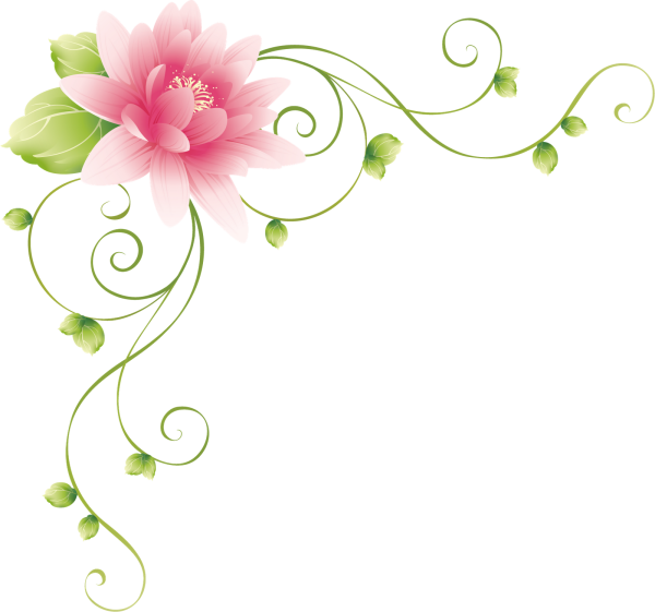 Цветы уголок