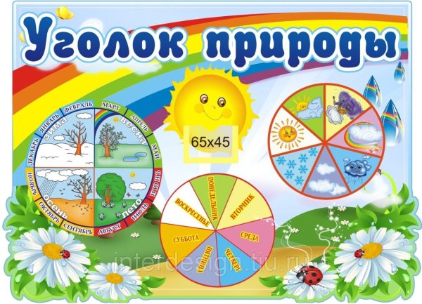 Уголок природы в детском саду