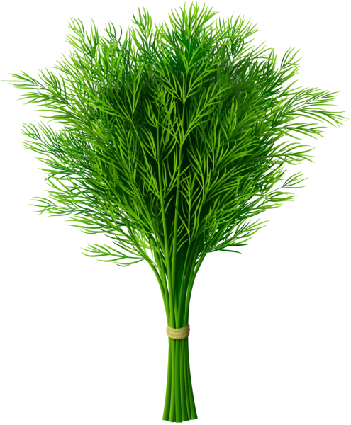 Укроп Стардаст