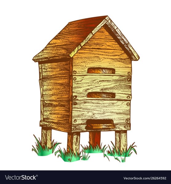 Деревянный улей на прозрачном фоне