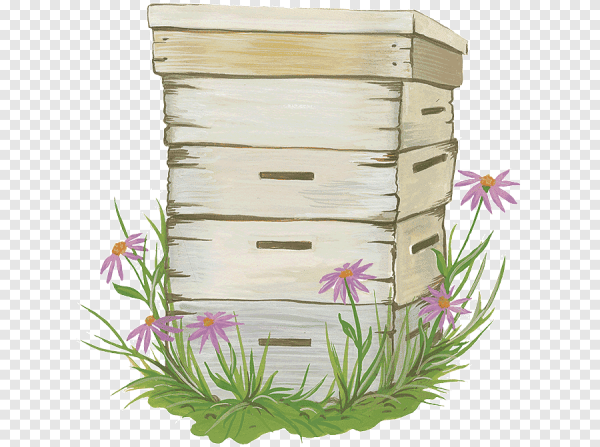 Улей нарисовать