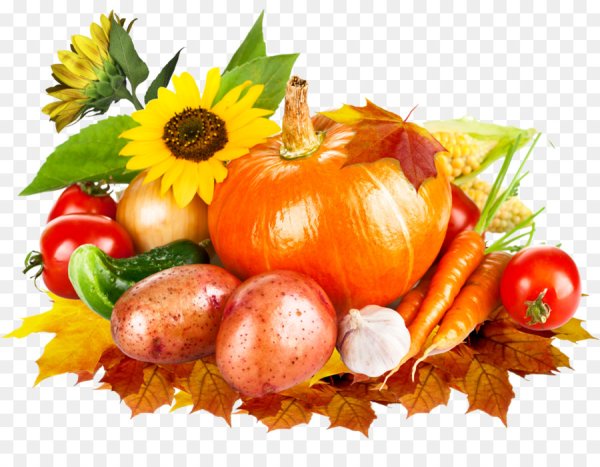 Осенние овощи на белом фоне