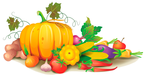 Осенние овощи и фрукты