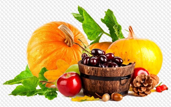 Осенние овощи на прозрачном фоне