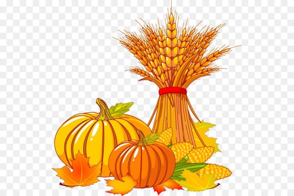 Урожай для детей на прозрачном фоне