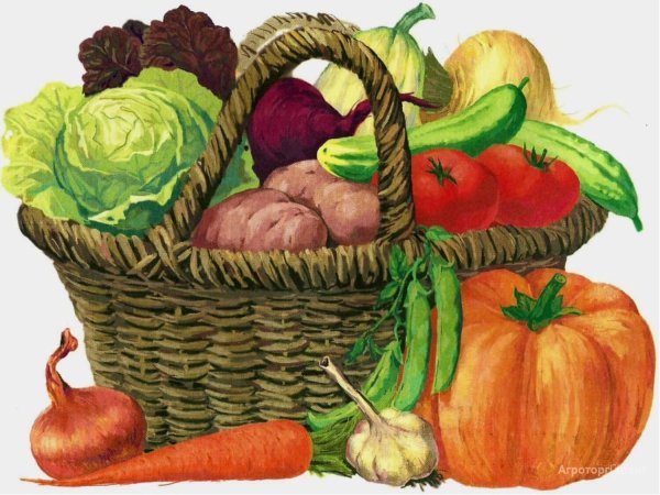 Корзинка с овощами