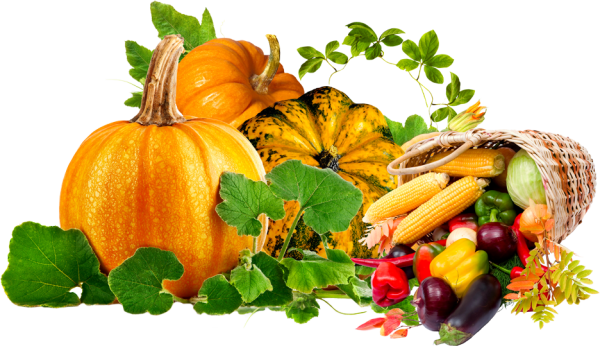 Урожай клипарт