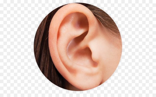 Уши для фотошопа