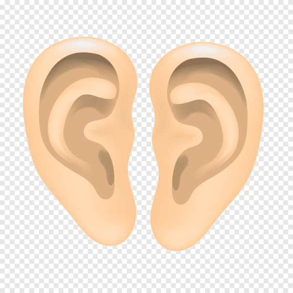 Ухо без фона