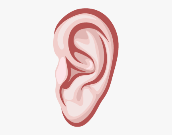 Ухо вектор