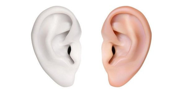 Ухо на белом фоне