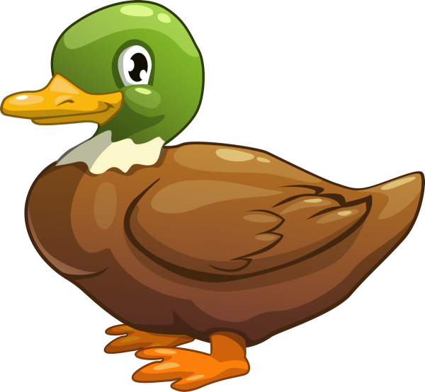 Утка с рисом