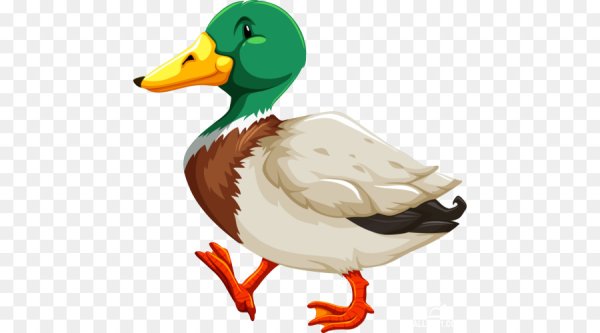 Селезень мультяшный