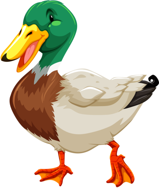 Утка рисунок на прозрачном фоне