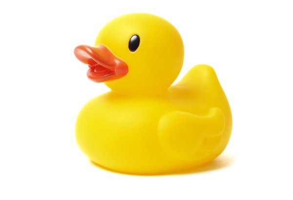 Утка на белом фоне