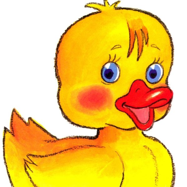 Утята для детей