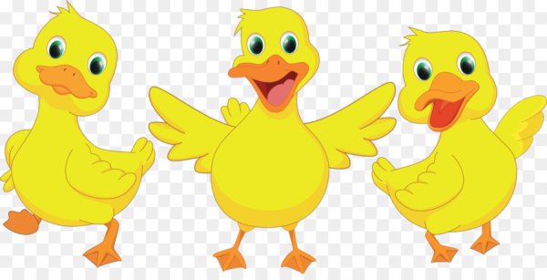 Утенок рисунок для детей на прозрачном фоне