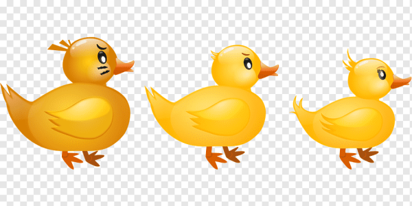 Утенок клипарт