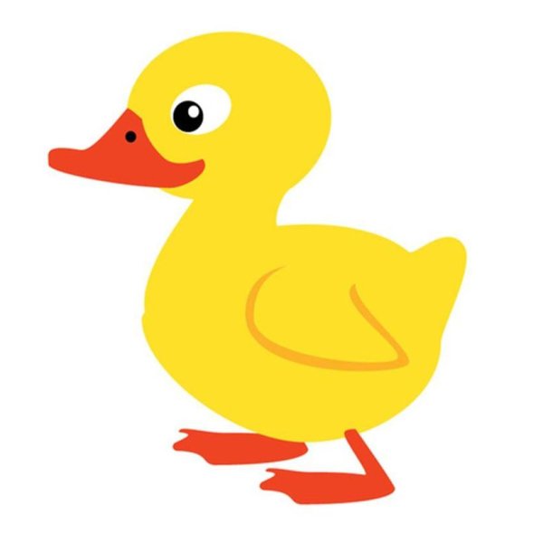 Уточки в детском саду