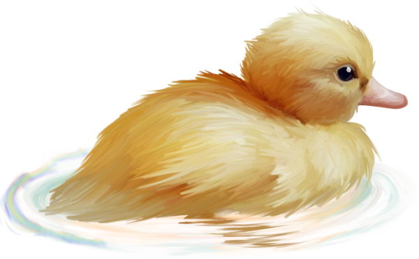 Утенок без фона