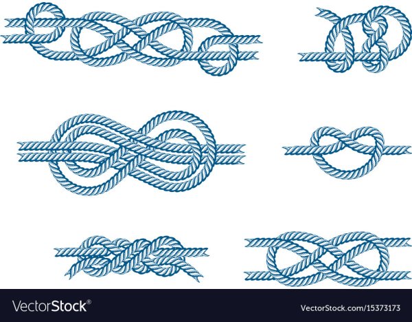 Морской узел вектор