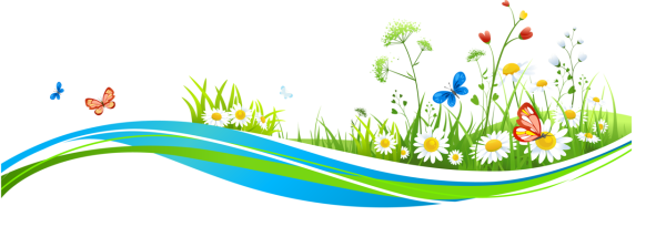 Лето без фона