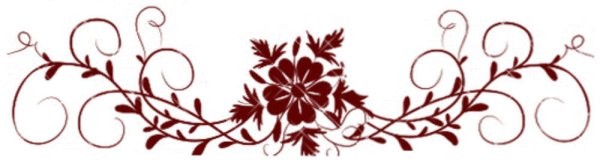 Бордовые узоры на прозрачном фоне