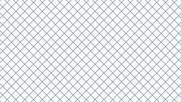 Сетка на белом фоне