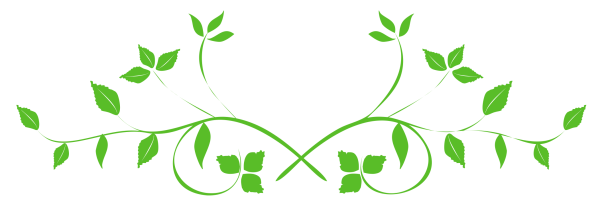 Зеленая веточка на прозрачном фоне