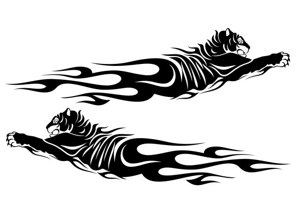 Тигр векторный рисунок