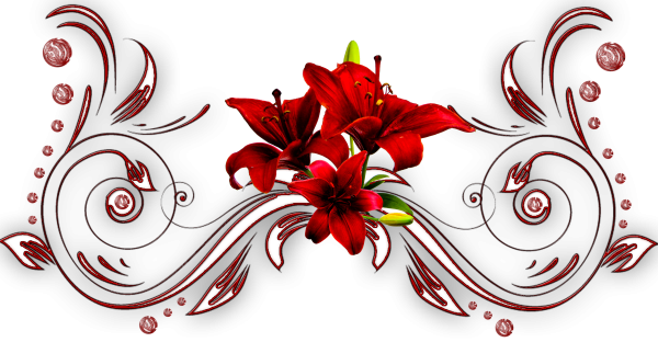 Цветочный орнамент на прозрачном фоне