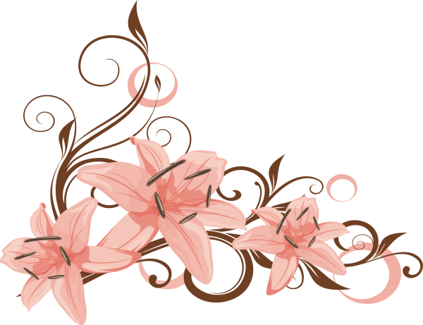 Узоры без фона