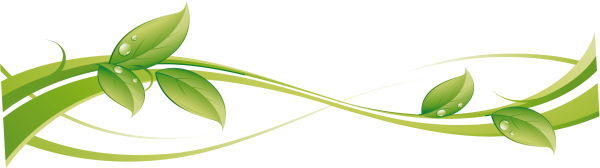 Экологический орнамент