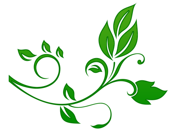 Растительный узор