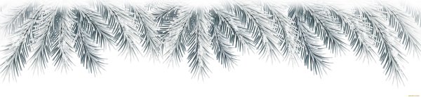 Новогодняя ветка на белом фоне