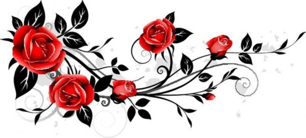 Орнамент из роз на прозрачном фоне