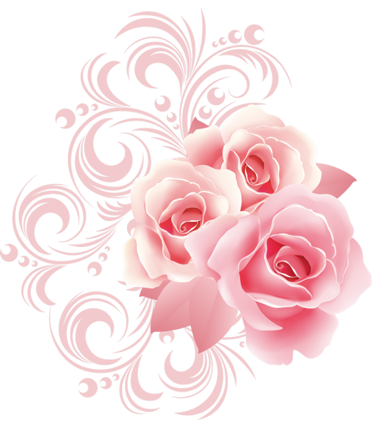 Розовые цветы на прозрачном фоне