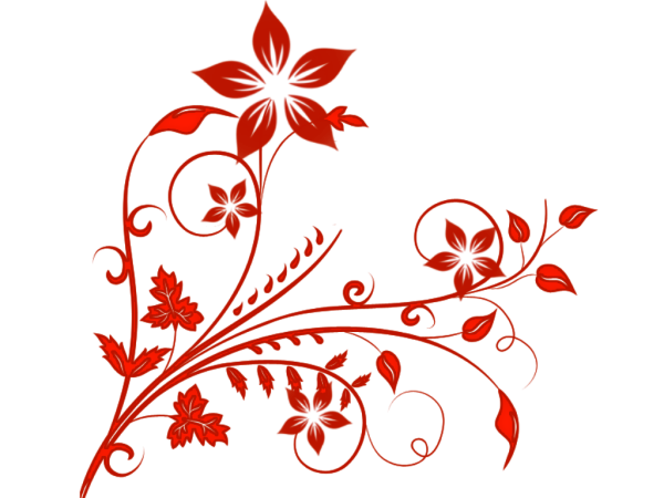 Орнамент на прозрачном фоне