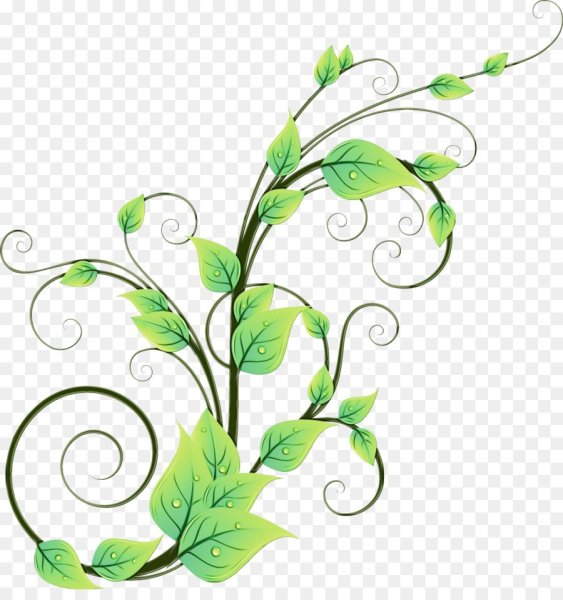 Завиток растения