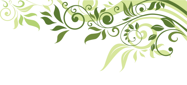 Растительный орнамент на прозрачном фоне