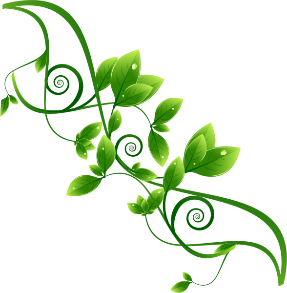 Зеленые узоры на белом фоне