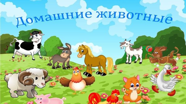 Домашние животные Заголовок