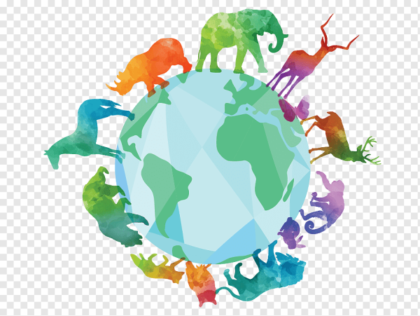 Биоразнообразие земли